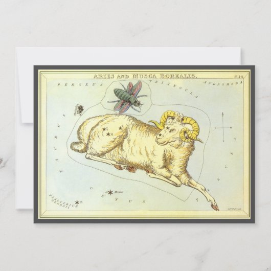 Ram Aries, Antieke Sterrenbeelden, Urania's Spiege Kaart (Voorkant)