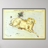 Ram Aries, sterrenbeeld, Urania's Spiegel Poster (Voorkant)