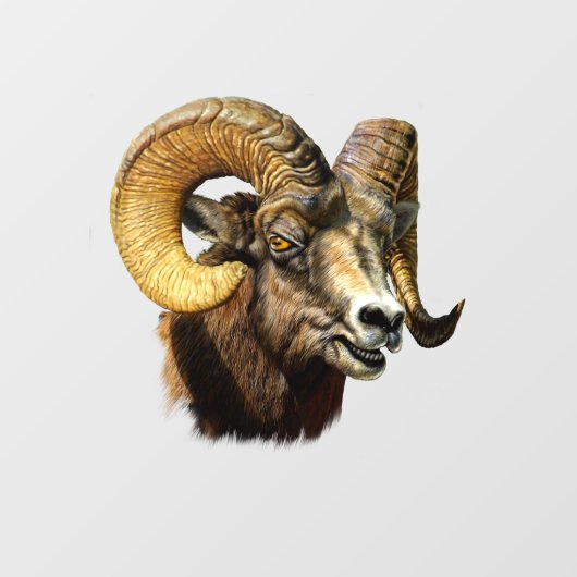 Ram Bighorn Sheep Wilde Natuur Raamsticker (Vel)