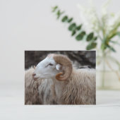 Ram Briefkaart (Staand voorkant)