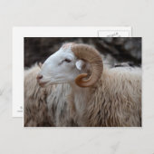 Ram Briefkaart (Voorkant / Achterkant)