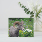 Ram - De bloemen smelten Briefkaart (Staand voorkant)