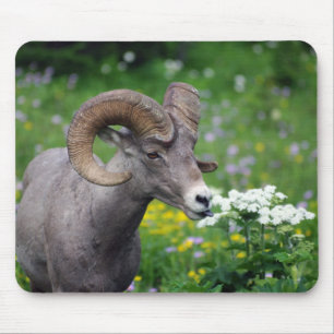 Ram - De bloemen smelten Muismat