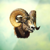 Ram Dikhoornschaap Wilde Natuur Raamsticker (Vel 3)