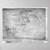 Ram en hoofd van een ram poster (Voorkant)