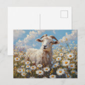 Ram in een Daisy Field schilderij Briefkaart (Voorkant / Achterkant)