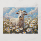 Ram in een Daisy Field schilderij Briefkaart (Voorkant)