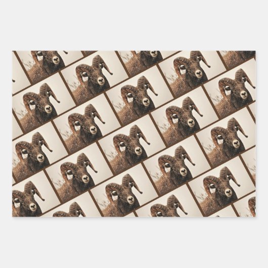 Ram Inpakpapier Vel (Voorkant 2)