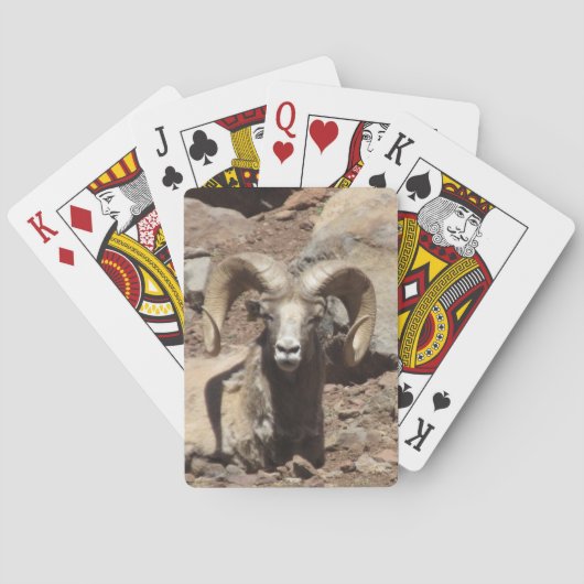 Ram Kaarten (Achterkant)