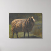 Ram (Mannelijk Schaap) op het Boerderij (door Rosa Canvas Afdruk (Voorkant)