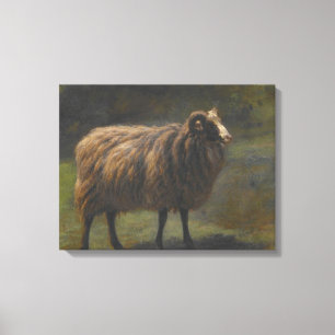 Ram (Mannelijk Schaap) op het Boerderij (door Rosa Canvas Afdruk