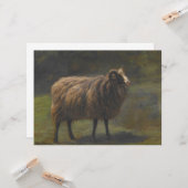 Ram (Mannelijk Schaap) op het Boerderij (door Rosa Kaart (Voorkant / Achterkant in situ)