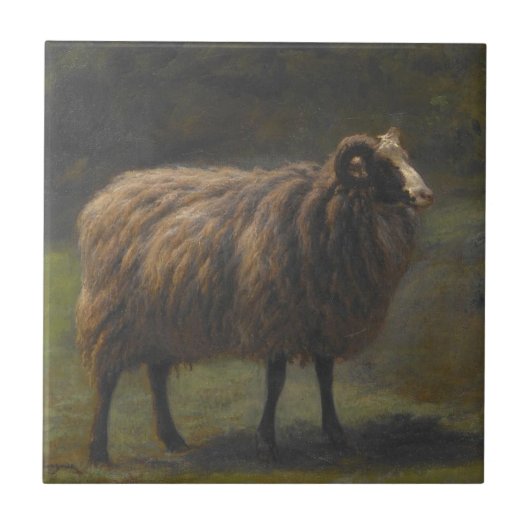 Ram (Mannelijk Schaap) op het Boerderij (door Rosa Tegeltje (Voorkant)