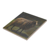 Ram (Mannelijk Schaap) op het Boerderij (door Rosa Tegeltje (Zijkant)