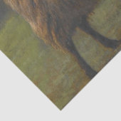 Ram (Mannelijk Schaap) op het Boerderij (door Rosa Tissuepapier (Detail)