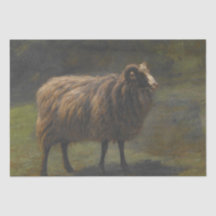 Ram (Mannelijk Schaap) op het Boerderij (door Rosa