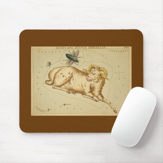 Ram Muismat (Met muis)