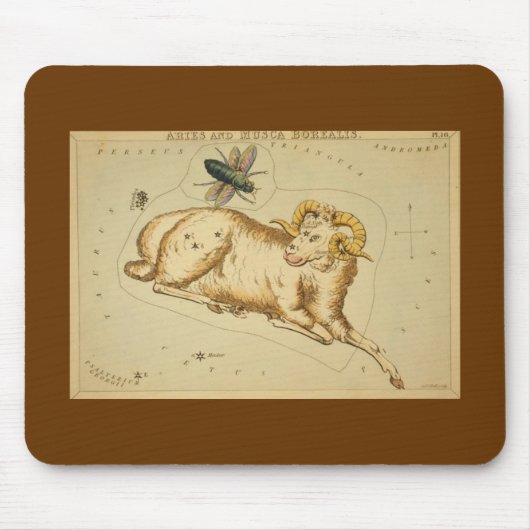 Ram Muismat (Voorkant)