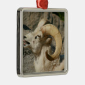 Ram of Bighorn Sheep Laughing Metalen Ornament (Rechts)