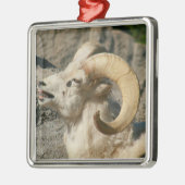 Ram of Bighorn Sheep Laughing Metalen Ornament (Links)