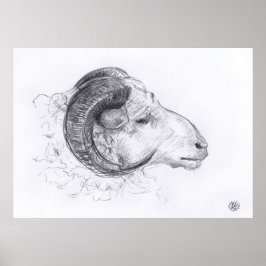 Ram - Original Drawing - Poster