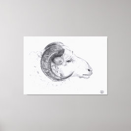 RAM - Originele tekening - Canvas Print