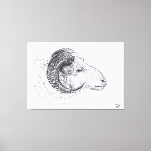 RAM - Originele tekening - Canvas Print (Voorkant)
