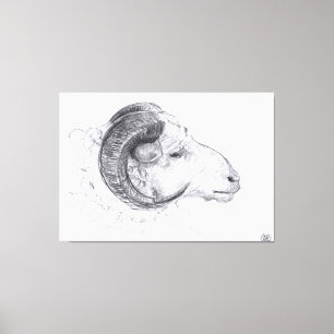 RAM - Originele tekening - Canvas Print