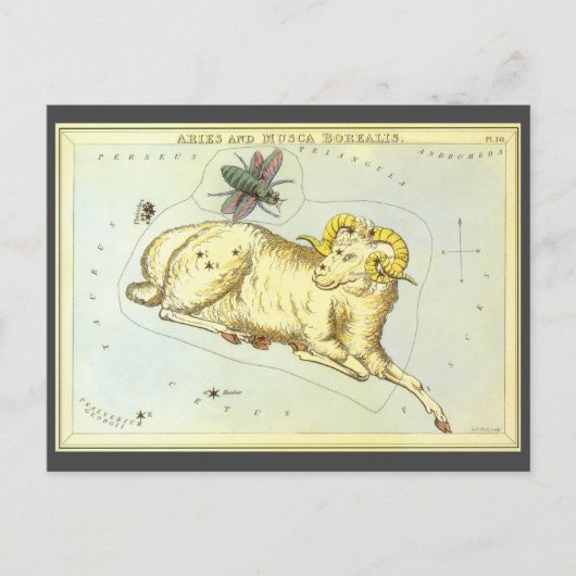 Ram Ram,  sterrenbeeld, Urania's Mirror Briefkaart (Voorkant)