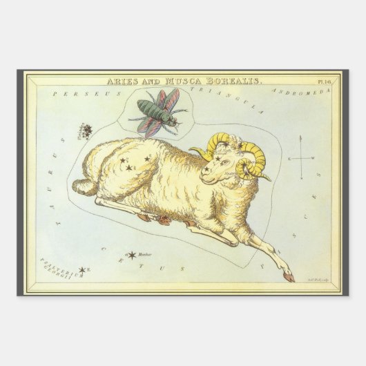 Ram Ram, sterrenbeeld, Urania's Mirror Inpakpapier Vel (Voorkant 3)