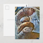 RAM SCHAPENDIER BOERDERIJ BRIEFKAART (Voorkant / Achterkant)