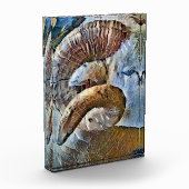 RAM SCHAPENDIER BOERDERIJ FOTOBLOKKEN (Links)