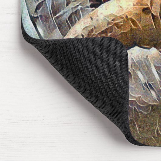 RAM SCHAPENDIER BOERDERIJ MUISMAT (Hoek)