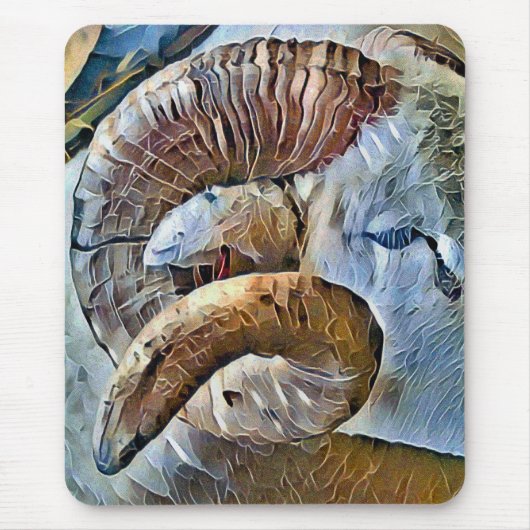 RAM SCHAPENDIER BOERDERIJ MUISMAT (Voorkant)