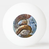 RAM SCHAPENDIER BOERDERIJ PINGPONGBAL (Voorkant)