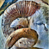 RAM SCHAPENDIER BOERDERIJ RONDE BUTTON 3,2 CM