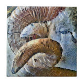 RAM SCHAPENDIER BOERDERIJ TEGELTJE (Voorkant)