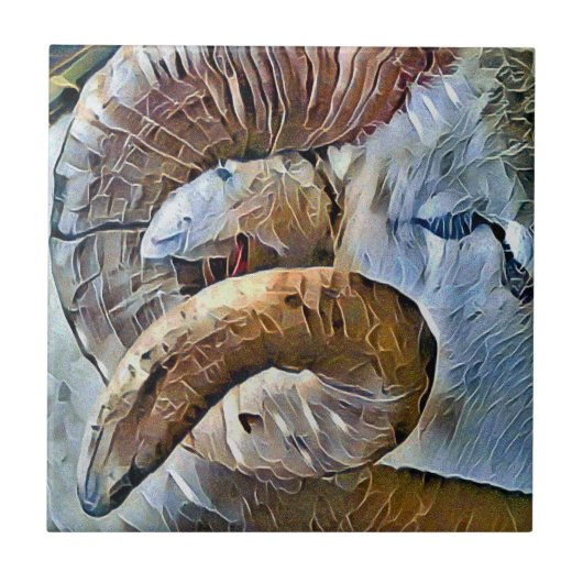 RAM SCHAPENDIER BOERDERIJ TEGELTJE (Voorkant)