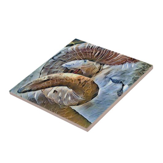 RAM SCHAPENDIER BOERDERIJ TEGELTJE (Zijkant)