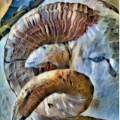 RAM SCHAPENDIER BOERDERIJ TEGELTJE