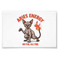 Ram Sphynx Kat Vuur Energie Dierenriem Kunst