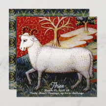 Ram sterrenbeeld Verjaardagsfeest