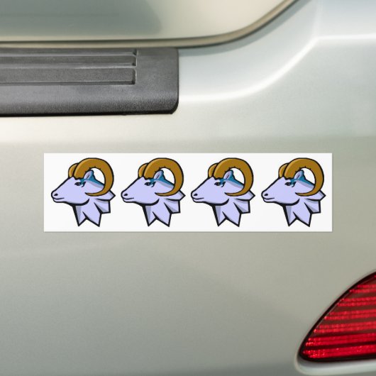 RAM-stickers Bumpersticker (Op auto)