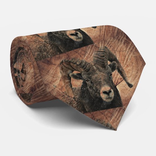 Ram Stropdas (Opgerold)