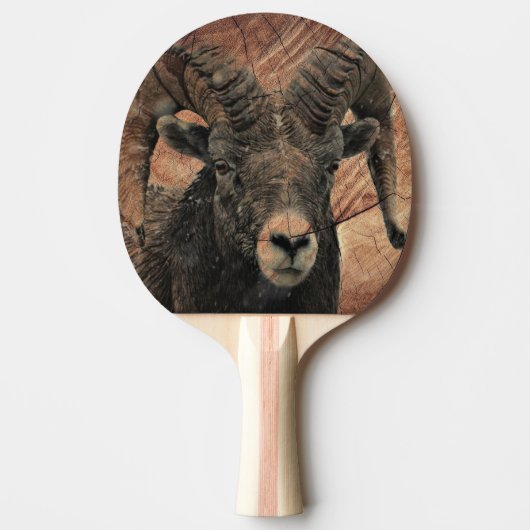 Ram Tafeltennisbatje (Voorkant)