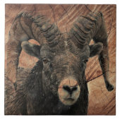 Ram Tegeltje (Voorkant)