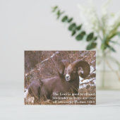 Ram-tweekleurig Briefkaart (Staand voorkant)