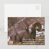 Ram-tweekleurig Briefkaart (Voorkant / Achterkant)