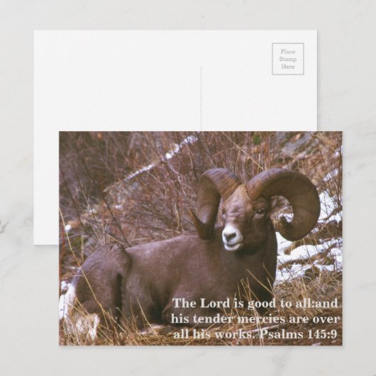 Ram-tweekleurig Briefkaart (Voorkant / Achterkant)