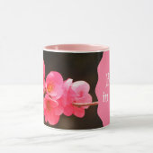 Rama con hermosas flores mok (Midden)